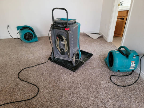 Best Water damage restoration near me  in Salem, MO