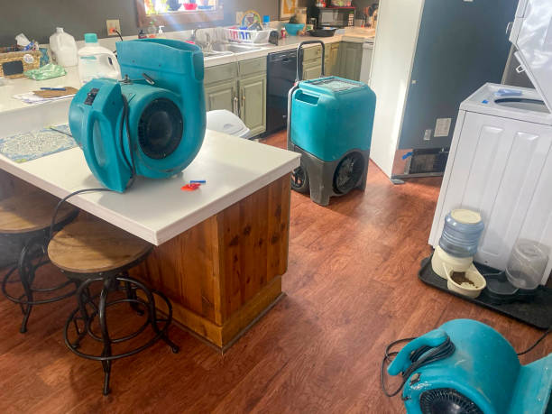 Best Commercial water damage restoration  in Salem, MO
