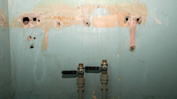 Best 24-hour water damage restoration  in Salem, MO
