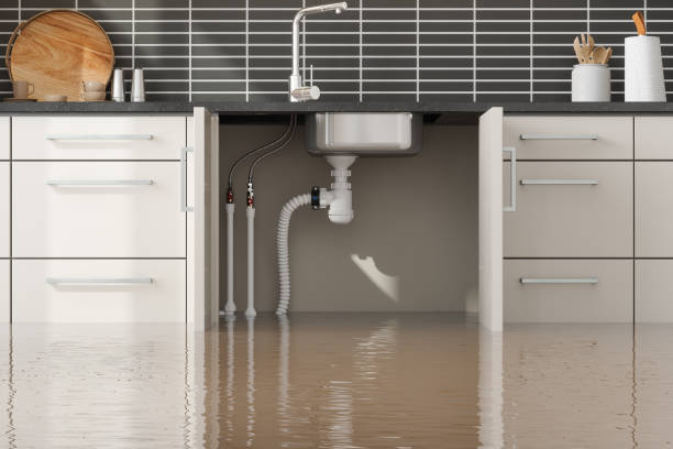 Best 24/7 water damage repair  in Salem, MO