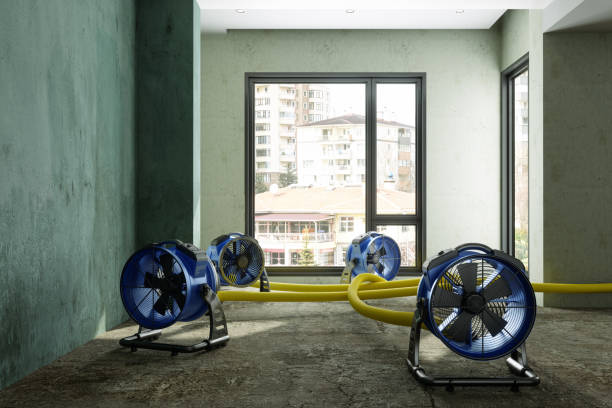 Best Water damage contractors near me  in Salem, MO